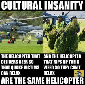 culturalstupidity