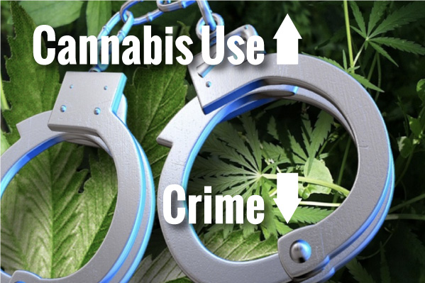 The Case For Cannabis: Cannabis Does Not Lead to Crime