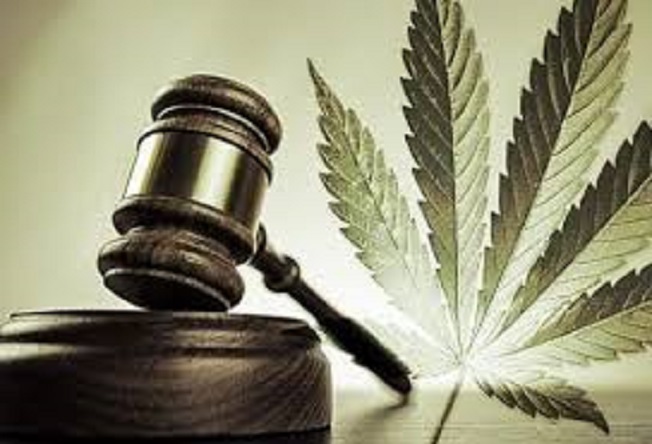 The Case For Cannabis: It’s Easier To Stop Using Cannabis If It’s Legal ...