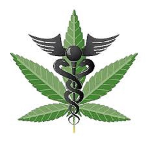 The Case For Cannabis: Cannabis Is A Medicine