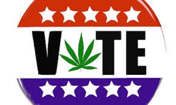 Who Wins From Having The Cannabis Referendum at The Same Time as The 2020 General Election?