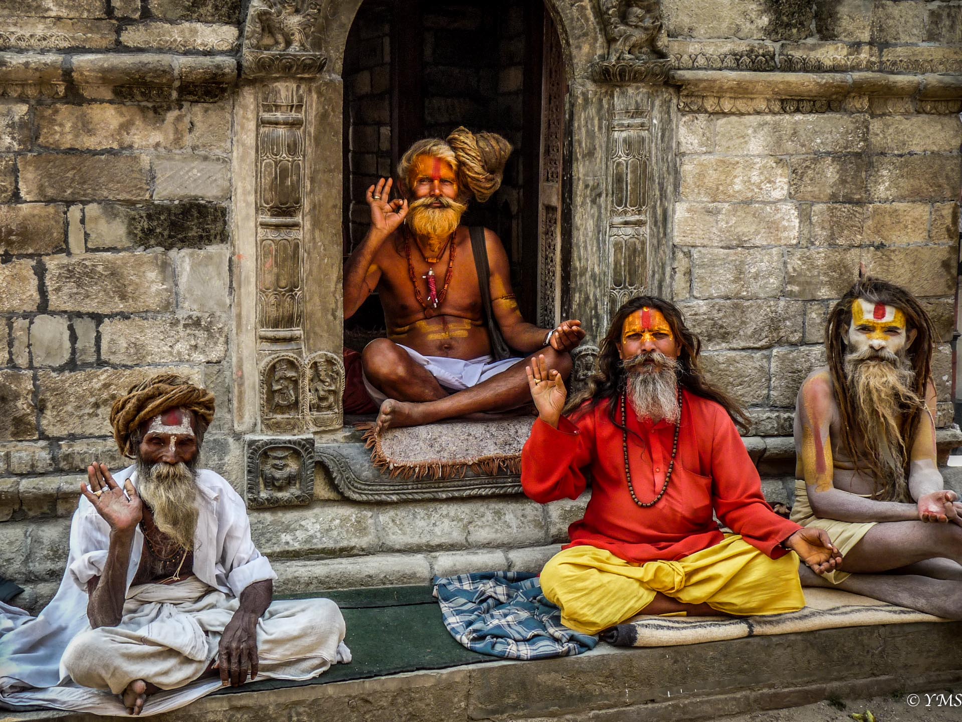 Does New Zealand Need A Sadhu System? – VJMP